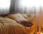 Apartament Arkado