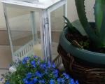 Zakopane Apartament TIM TAM