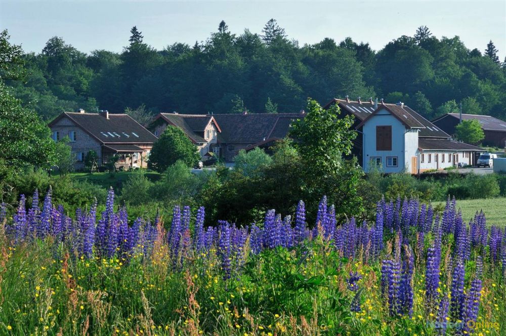 Gospodarstwo Agroturystyczne Vitalis