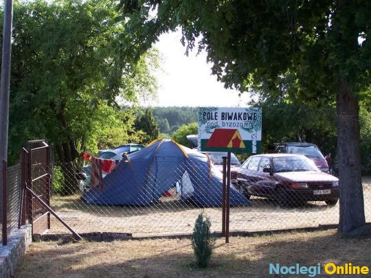Pole biwakowe POD BRZOZAMI