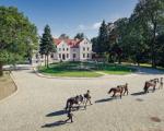 Pałac Mortęgi Hotel & SPA