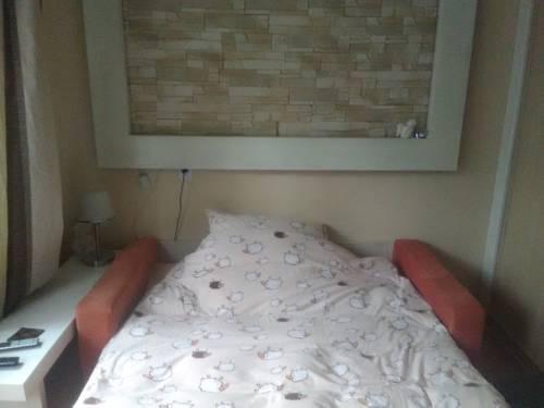 TAURON ARENA bliziutko...