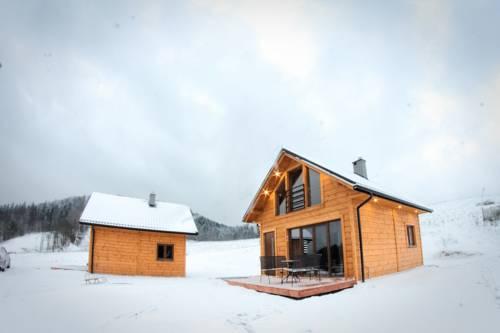 Domki pod Bukowym lasem