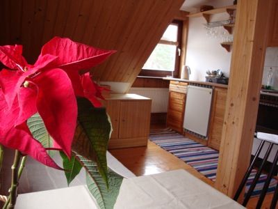 Przytulne mieszkanie z sauną, na poddaszu