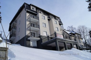 Villa Avangarda Apartament Kaja