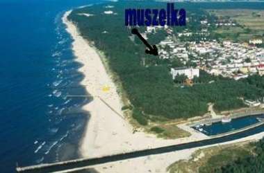 MUSZELKA przy plaży