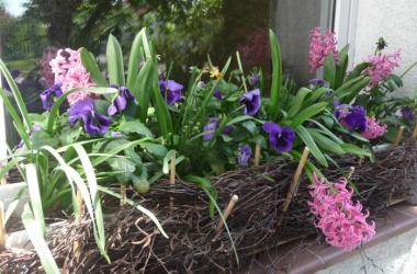 Hostel Pod Modrzewiem