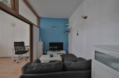 Apartament Złotników