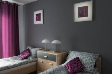 Apartament David