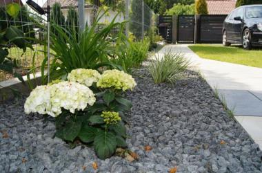 Apartament rodzinny na wyspie