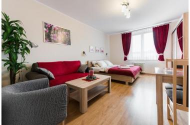 Apartament 23