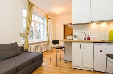 Vilnius center apartment