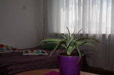 Apartament Lęborska