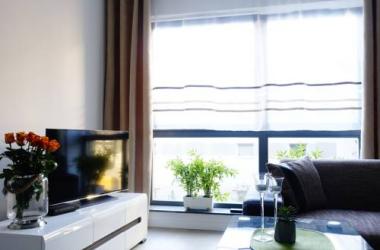 Apartament na Browarze