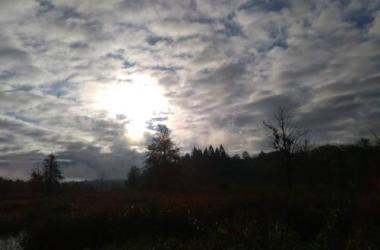 Gościniec na Wroniej Górze