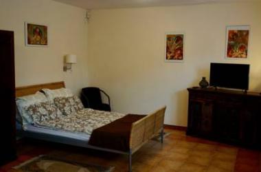Apartament przy Stawie
