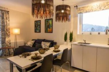 Apartamenty Wisła Kamienna