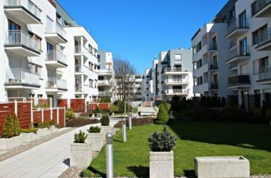 visit baltic - na Platanie