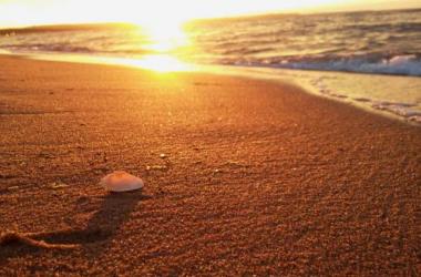 Apartament Zelwerowicza Nad Morzem