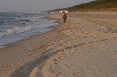 Dom na Zlotych Wydmach