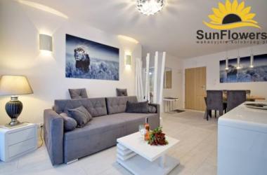 Sunflowers Apartament LEO GREY w Kołobrzegu