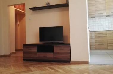 Nowogrodzka Apartment