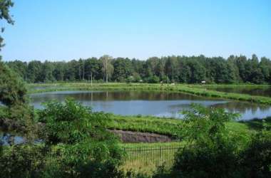 *Zajazd Krężniczanka*